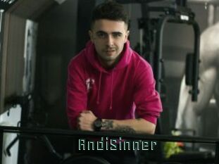 AndiSinner