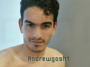 Andrewgosht