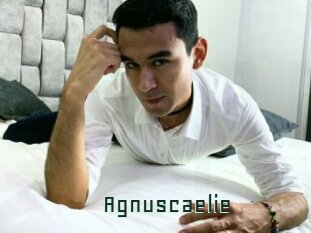 Agnuscaelie