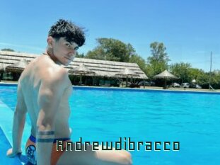 Andrewdibracco