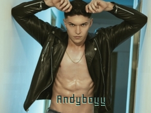 Andyboyy