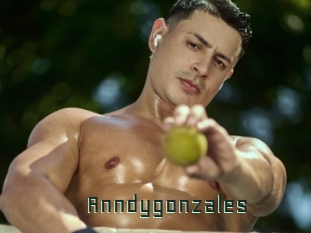 Anndygonzales