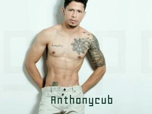 Anthonycub