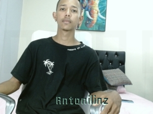 Antonilinz