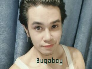 Bugaboy