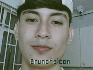 Brunofalcon