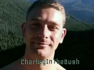 CharleyInTheBush