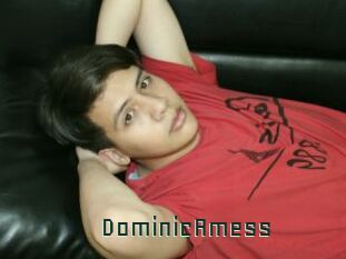 DominicAmess