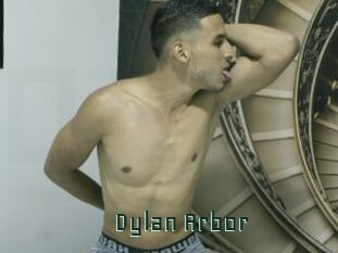 Dylan_Arbor