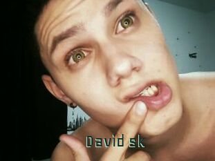 David_sk