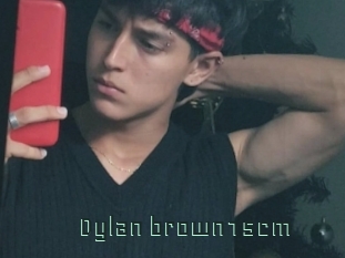 Dylan_brown15cm