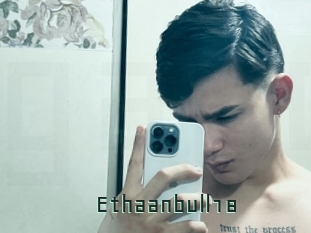 Ethaanbull18