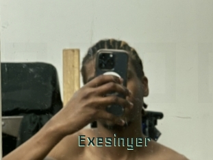 Exesinyer