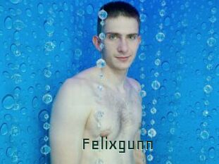 Felixgunn