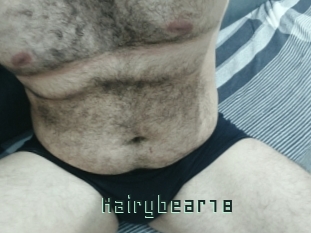 Hairybear18