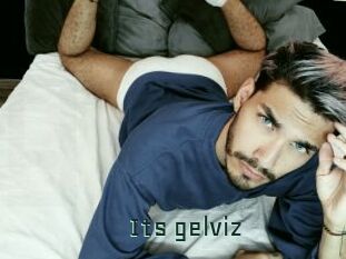 Its_gelviz