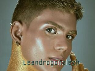 Leandrogonzlezh