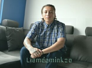 Liamdomink20