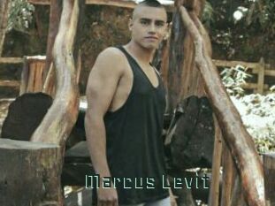 Marcus_Levit