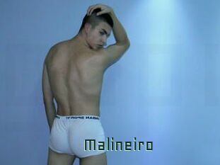 Malineiro