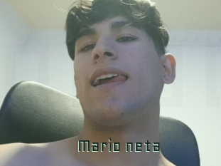 Mario_neta