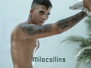 Milocollins