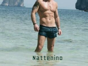 Nattenino