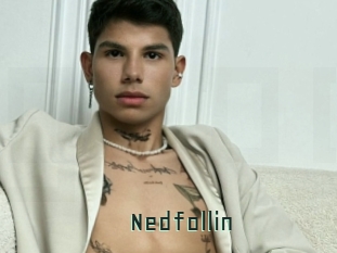 Nedfollin