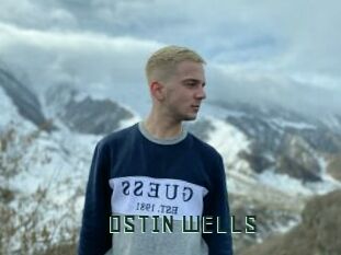 OSTIN_WELLS