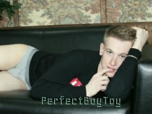 PerfectBoyToy