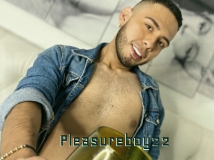 Pleasureboy22