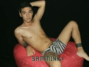 SAMMINK1