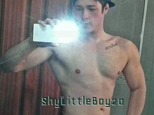 ShyLittleBoy20