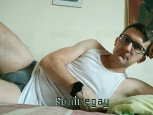 Sonicegay