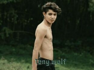 Tony_wolf