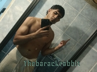 Thebarackrabbit