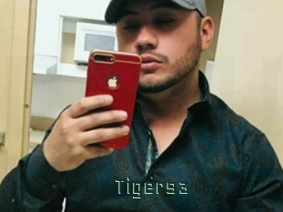 Tiger93