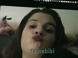 Transbibi