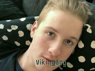 VikingBoy